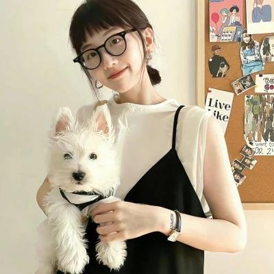 野良猫洛克:女番长