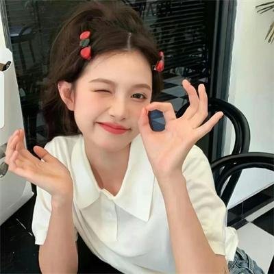 城市猎人：保镖密令